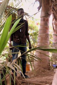 cherif faty hlmgrandyoff